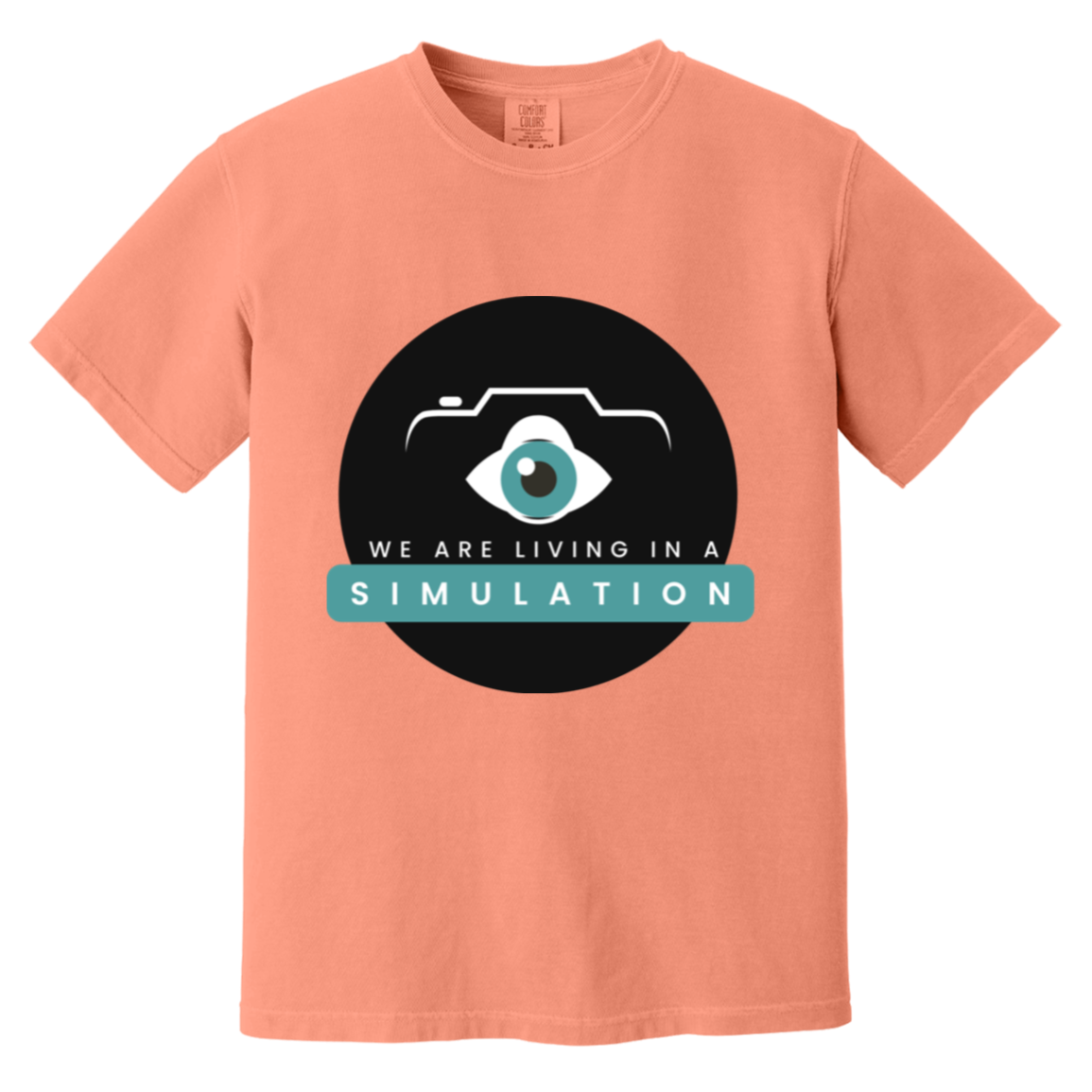 We Are In A Simulation — Terracotta Comfort Colors1717, actual CustomCat print placement