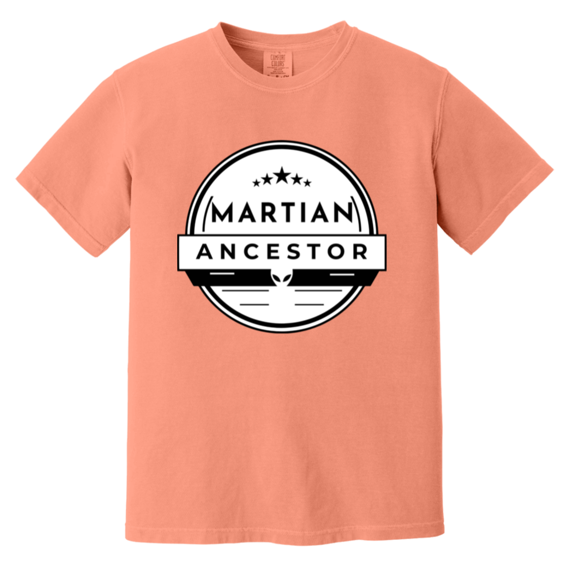 Martian Ancestor — Terracotta Comfort Colors1717, actual CustomCat print placement