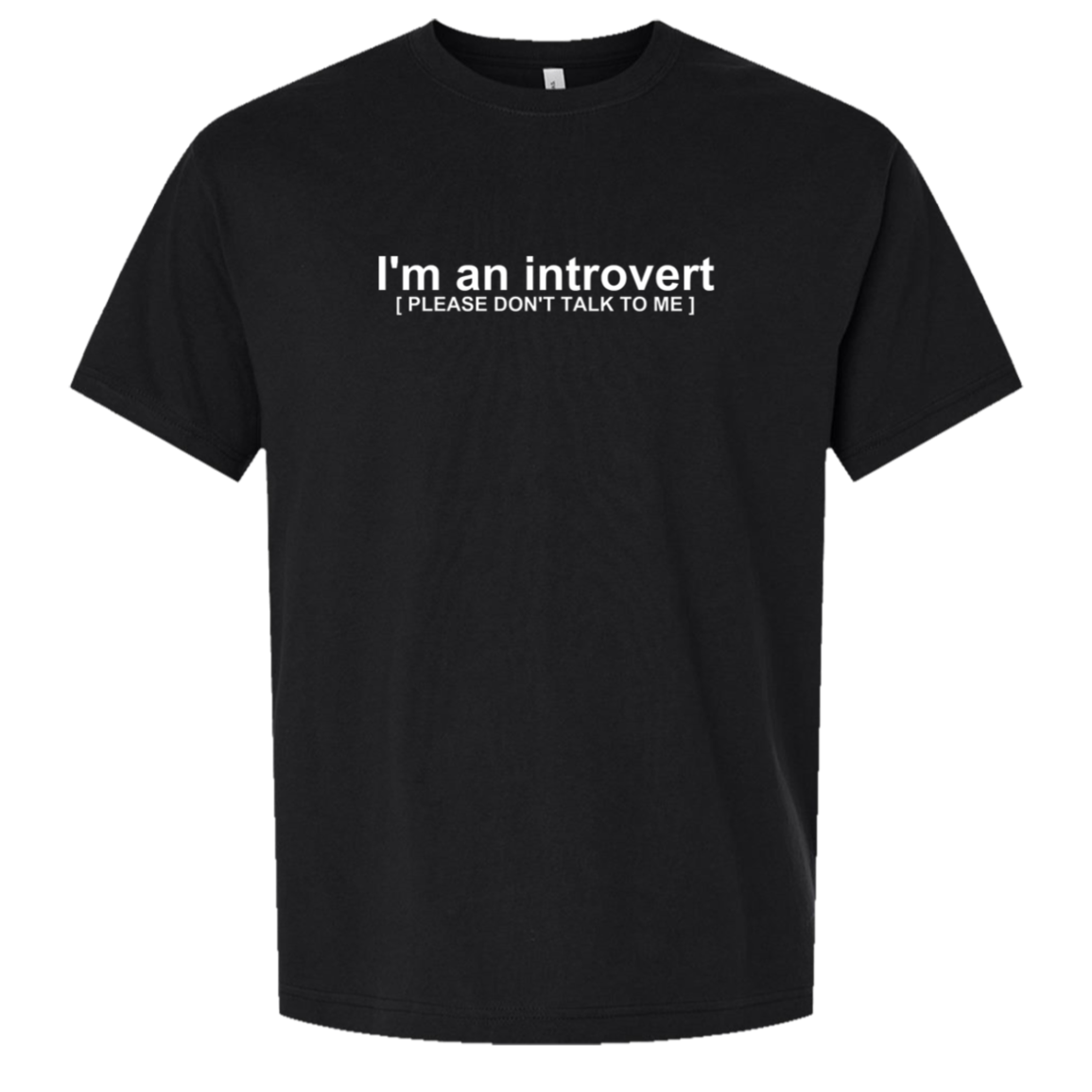 Introvert; Please Don’t Talk To Me - Oversized Tee — Black, actual CustomCat production placement