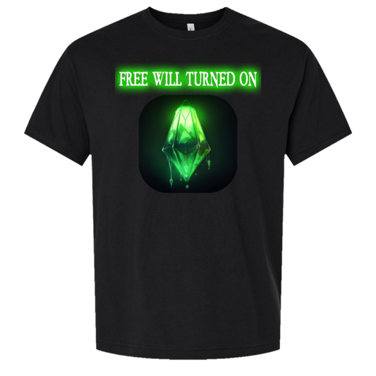 Free Will Turned On — Bella + Canvas 3010 oversized tee black