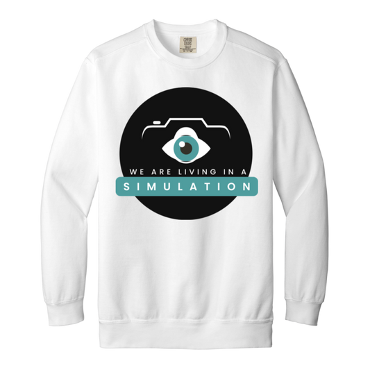 We Are In A Simulation — Comfort Colors 1566 — white