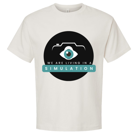 We Are In A Simulation oversized tee — Vintage White
